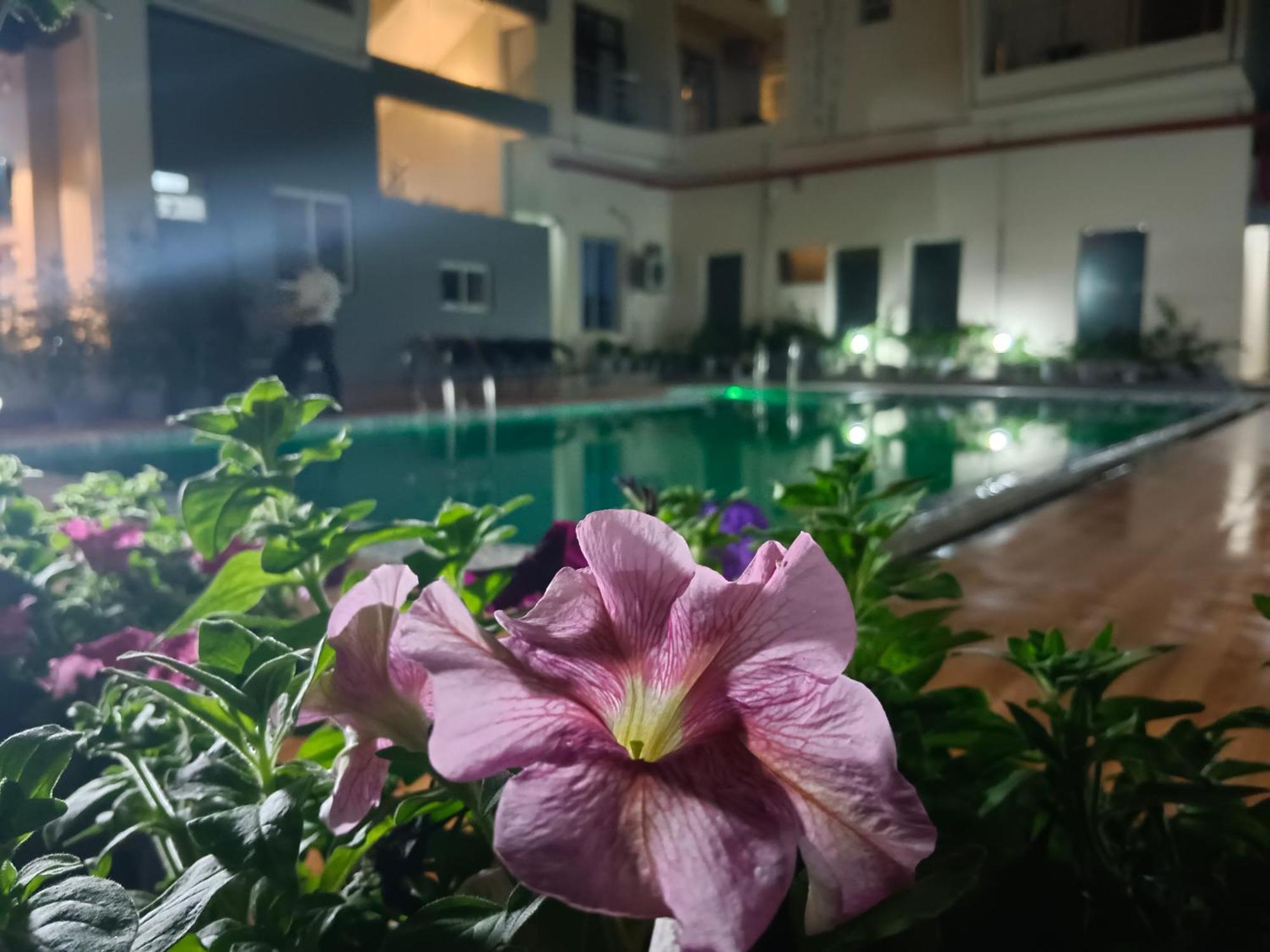 דיגה Hotel Ridley International מראה חיצוני תמונה
